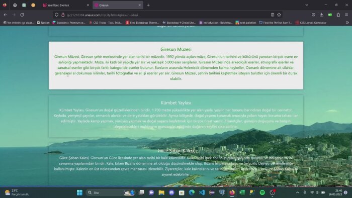 responsive websitenizi yapabilirim