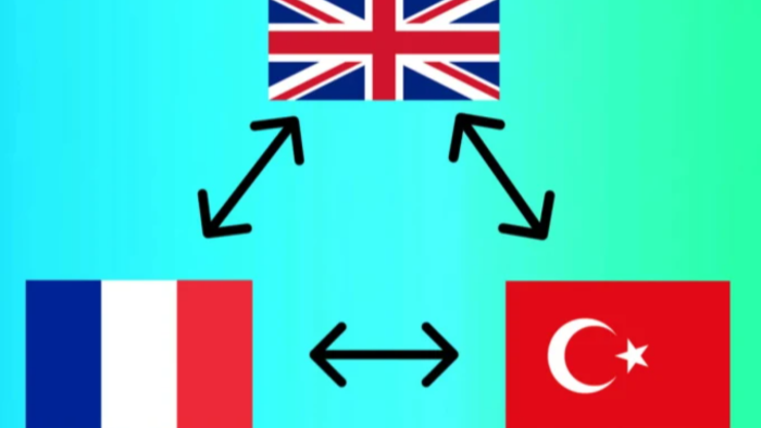 Fransızca, İngilizce ve Türkçe çeviri yapabilirim