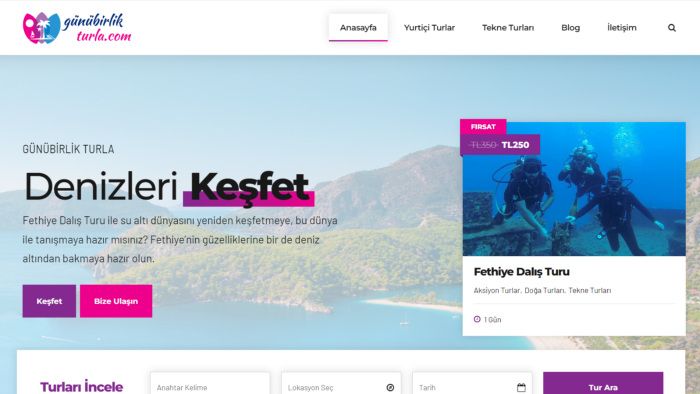 Wordpress Tema kurulum ve demo yüklemesini yapabilirim