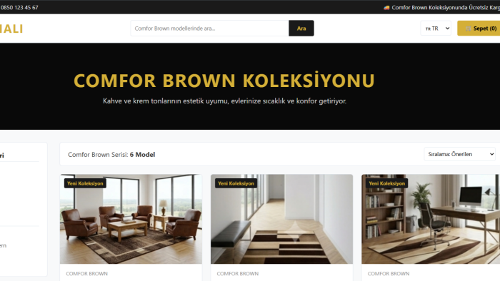  fikirlerinizi profesyonel bir web sitesine dönüştürüyorum