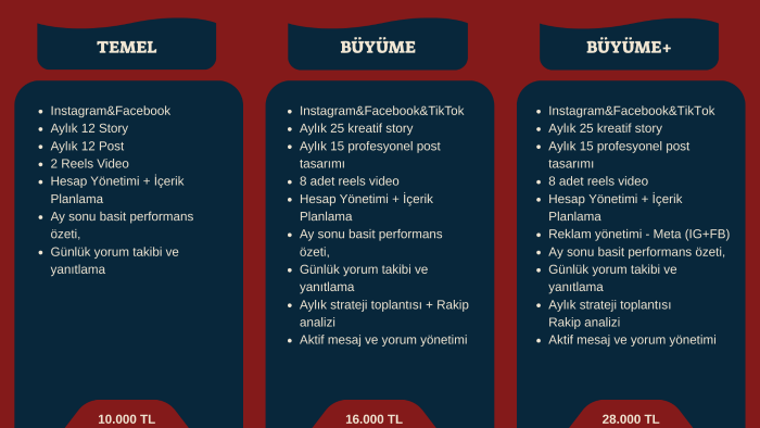 sosyal medyanızı profesyonel şekilde yönetir öne çıkarırım