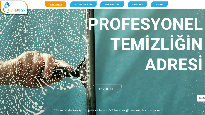 profesyonel wordPress web sitesi kurarım