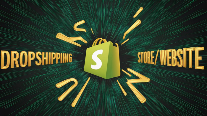 Shopify websitesi sizin için kurabilirim