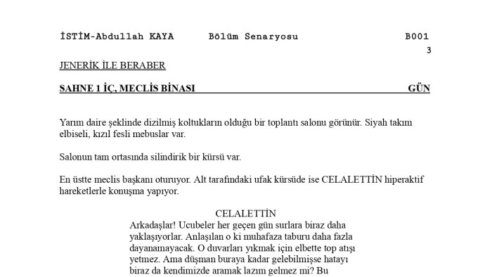 hikaye taslağınızı hikaye ve senaryoya çeviririm