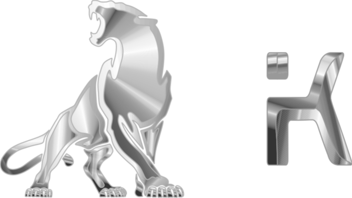 kurumsal logo tasarımlarınızı yaparım