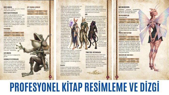 profesyonel kitap resimleme ve dizgi hizmeti veriyorum