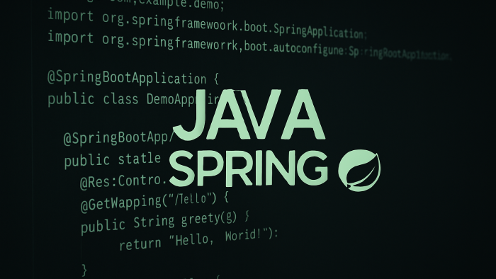 Java spring boot ile modern projeler yaparım