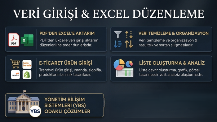 veri girişi ve Excel düzenleme işlemlerinizi yaparım