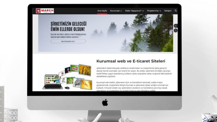 profesyonel şekilde her türlü web sitesini yapabilirim