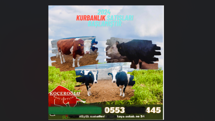 broşür tasarlayabilirim
