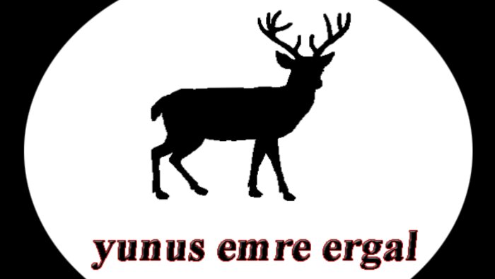 profosyonel olarak logo tasarımı yaparım
