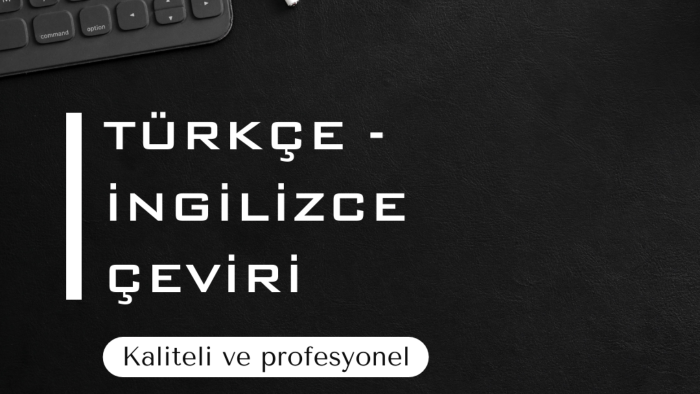 güvenilir ve profesyonel çeviri hizmeti sağlayabilirim