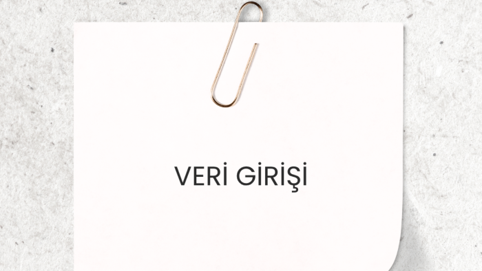 veri girişi yapabilirim