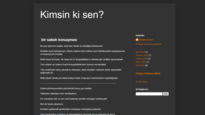 kurgu dışı veya kurgusal metinler yazabilirim