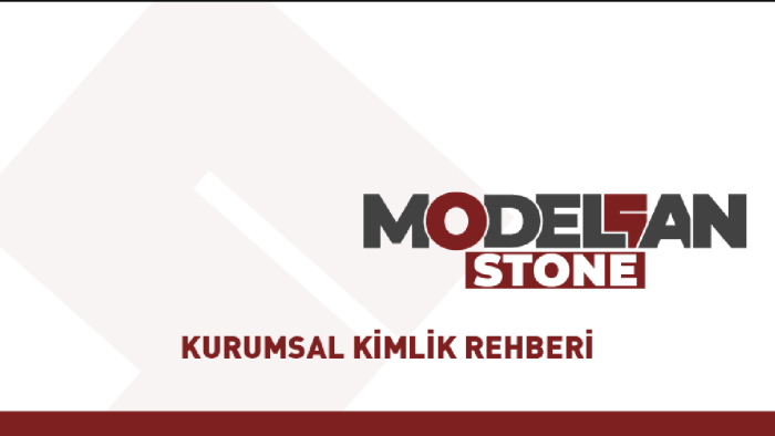 kurumsal kimliği en iyi şekilde yansıtan logoyu tasarlarım