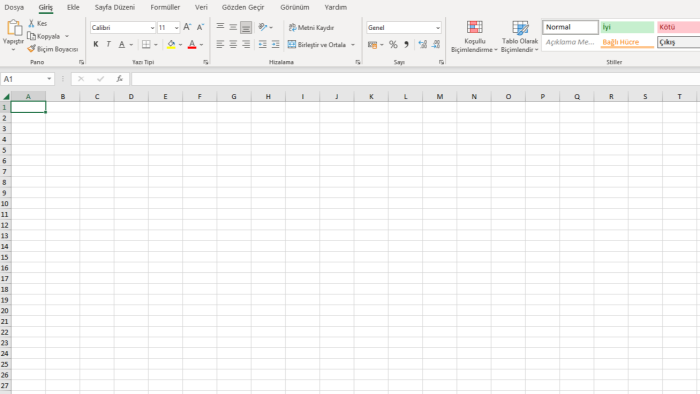Microsoft Excel'de tablolar ve veri analizi yapıyorum