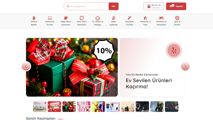 profesyonel bir e ticaret teması yapabilirim