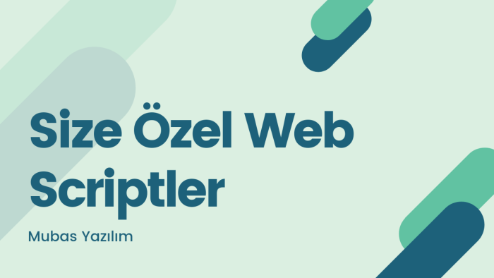 size özel web scripti yaparım