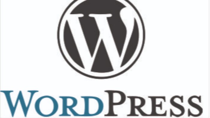 sizin için en uygun web sitesini yaparım