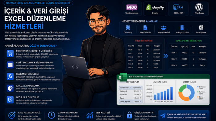 profesyonel içerik girişi ve excel veri düzenleme yaparım