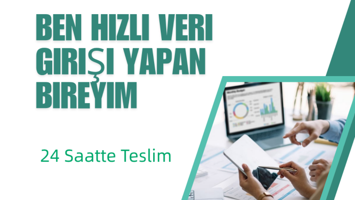 2 saatte veri girişi yaparım