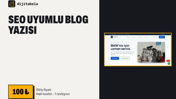 web siteniz için SEO uyumlu blog yazısı yazarım