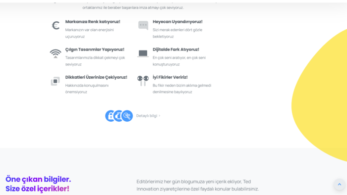  size özel tasarım ve altyapıda web sitesi yapabilirim
