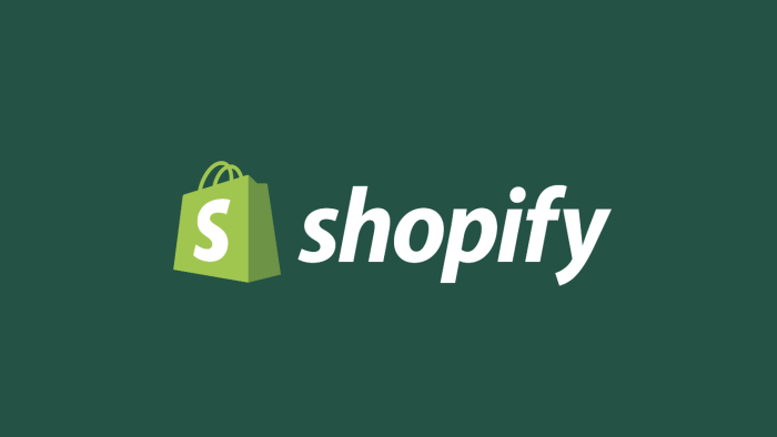 satış yapan dönüşüm odaklı shopify mağazası tasarlıyorum