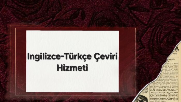 profesyonel i̇ngilizce türkçe çeviri yaparım