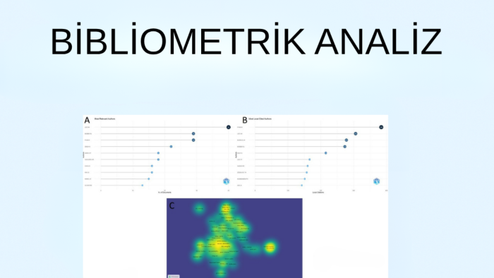 bibliyometrik analiz yapıyorum