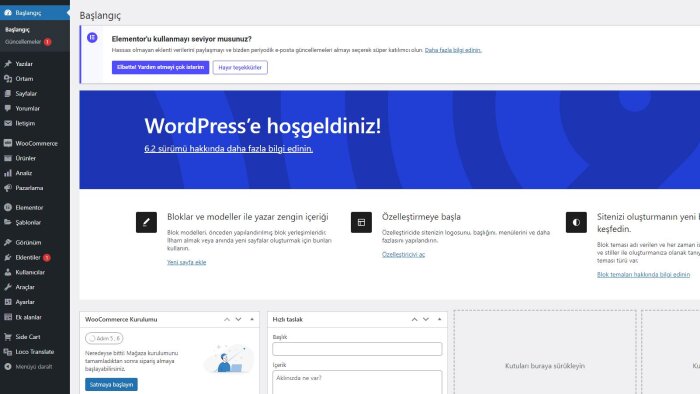 sitenize içerik girişi ve sayfa tasarımı yapabilirim