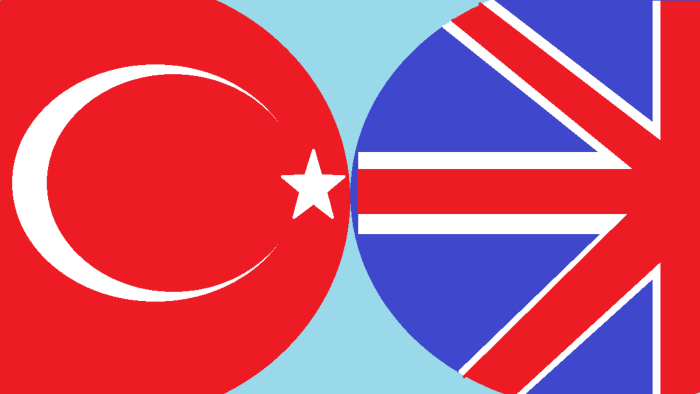 sizin çevirinizi özgün ve yetkin bir biçimde çevirebilirim