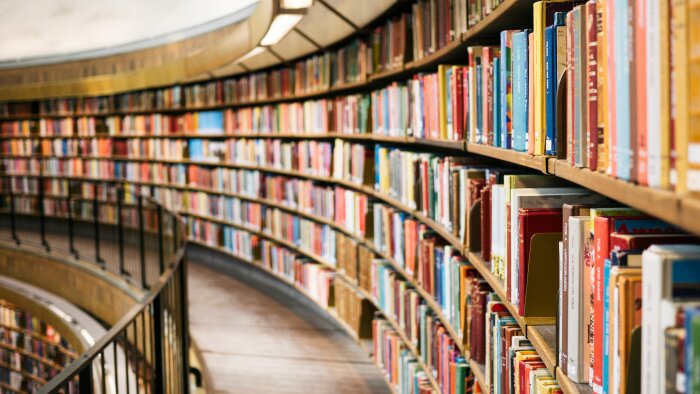 bilimsel ve felsefi alanlarda akademik metinler yazabilirim