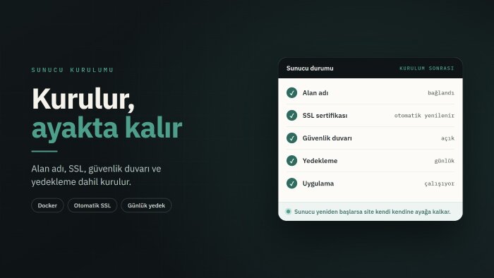 web sitenizi sunucuya kurup yayına alırım