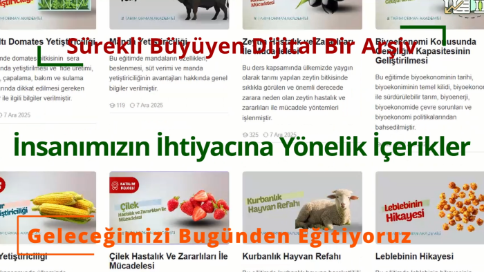 video kurgu ile içeriklerinizi etkili ve akıcı yapıyorum