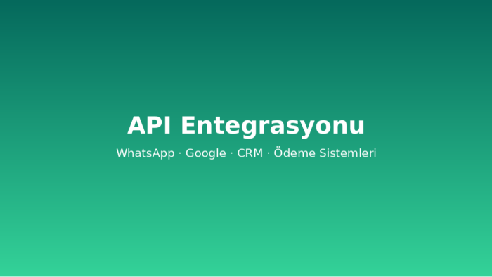 sisteminize api entegrasyonu yapıyorum