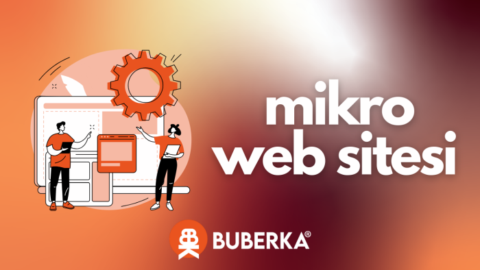 wordpress mikro sitenizi hızlı yaparım