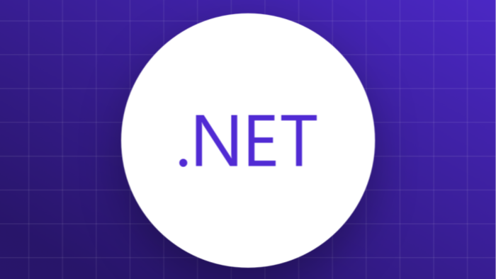 .Net altyapısını analiz edip hata tespiti yapabilirim