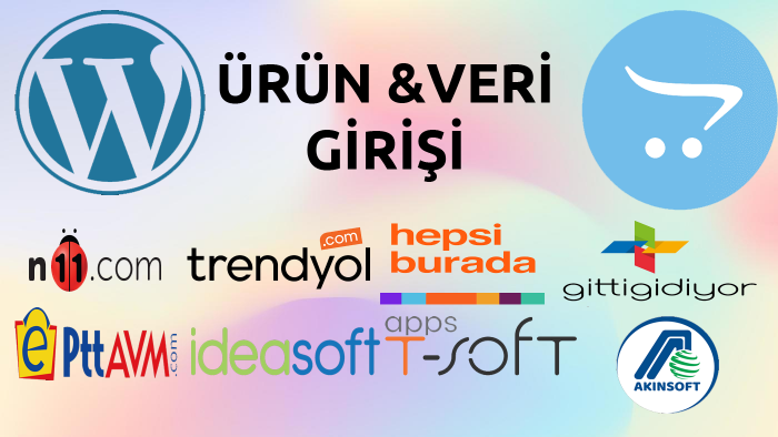 sizin için tüm ürün ve veri girişlerinizi yaparım