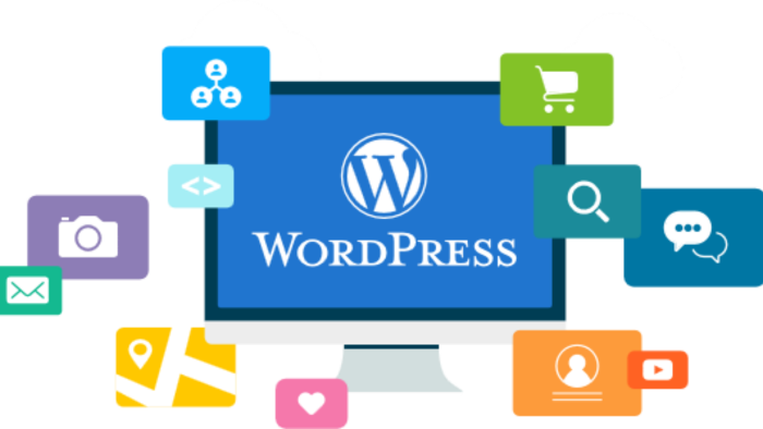 profesyonel web tasarımı yapabilirim