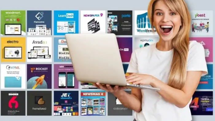 lisanslı wordpress premium tema ve eklentileri kurarım