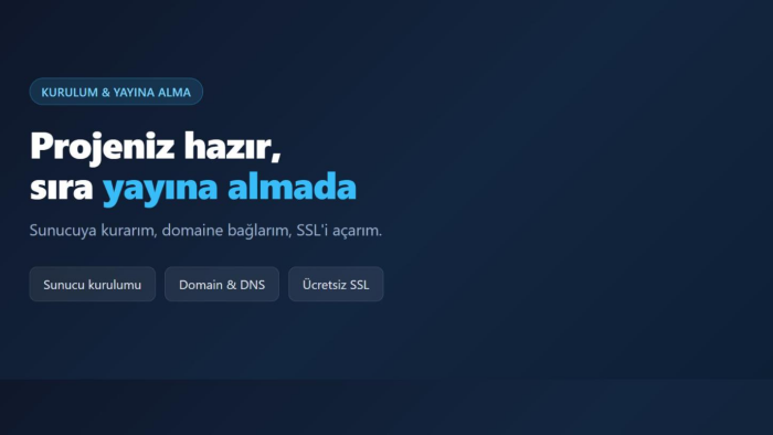 projenizi sunucuya kurup yayına alırım
