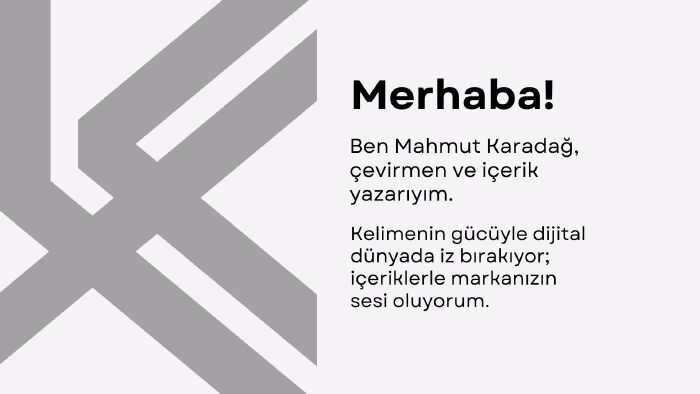profesyonel çeviri hizmeti sunarım