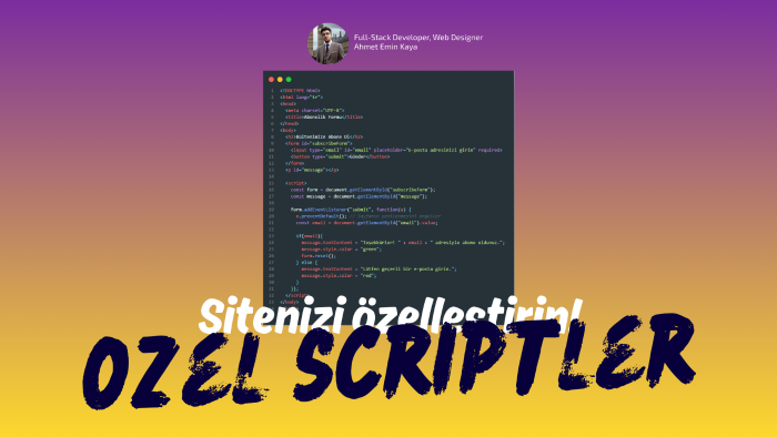 web siteniz için özel script yazabilirim