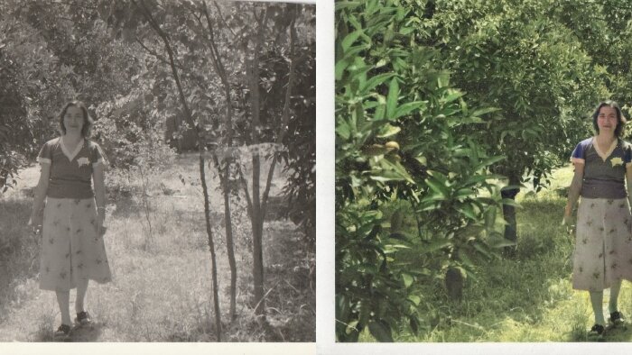 uzman olduğum fotoğraf düzenleme konusun da yardımcı olurum