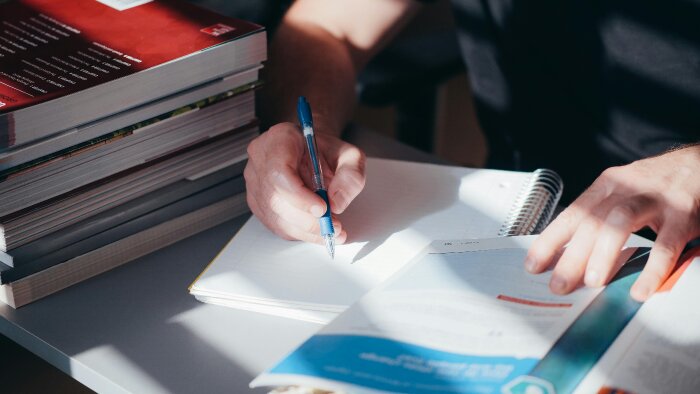 akademik belgenizde dil ve anlatım düzenlemesi yapabilirim