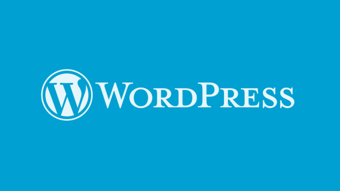 sizin için Wordpress tabanlı portfolyo web site yapabilirim