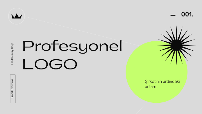 özgün ve minimalist logo tasarımı yaparım