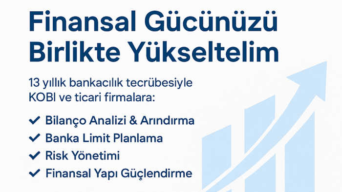 şirketinize finansal yönetim hizmeti veriyorum