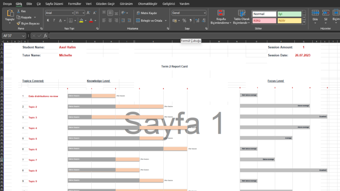excel işlerinizi yapabilirim